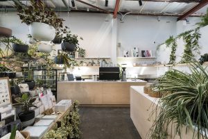 About Bar Botanik